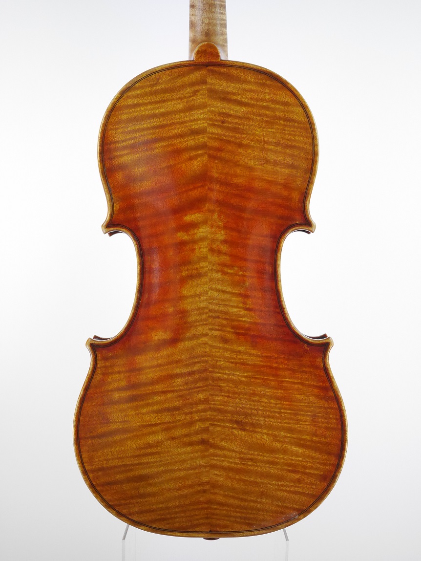 violin back